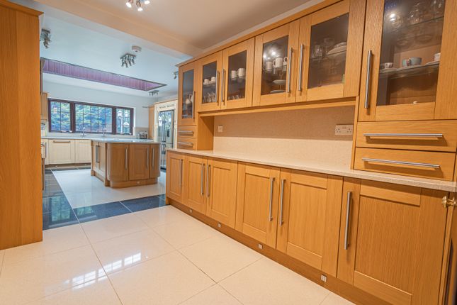 20250801-Dsc0596620250801