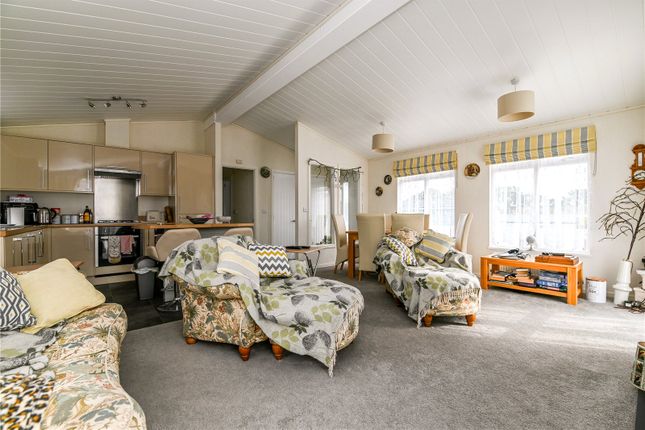 26, Amberwood, Downton photo 4