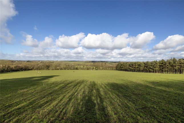 Land for sale in Clemenstone, Cowbridge, Vale Of Glamorgan