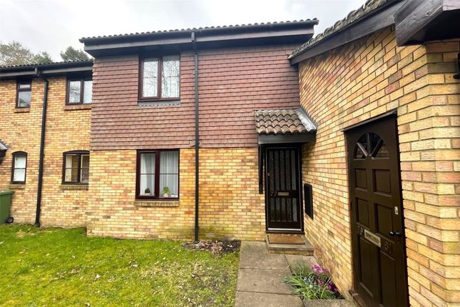 Thumbnail Terraced house to rent in Habershon Drive, Frimley, Camberley