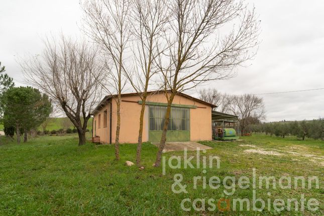 Farm for sale in Italy, Tuscany, Grosseto, Scansano
