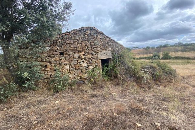 Farm for sale in Penamacor, Castelo Branco, Central Portugal