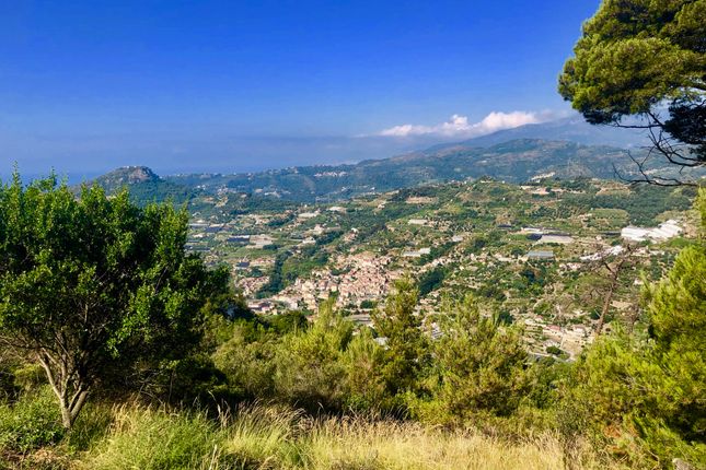 Land for sale in Bo 756, Strada Maciurina, Vallebona, Imperia, Liguria, Italy