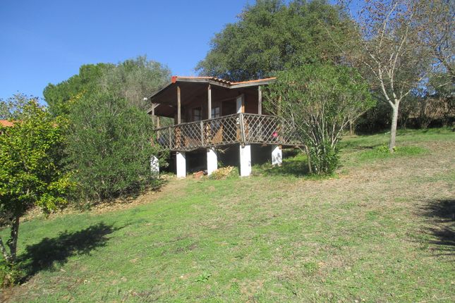 Farm for sale in Seda, Alter Do Chão, Portalegre, Alentejo, Portugal
