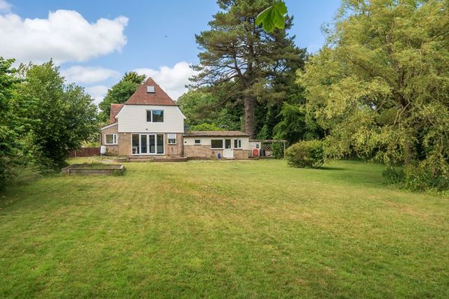 Thumbnail Semi-detached house for sale in Wellbottom Lodge, Winterbourne Abbas