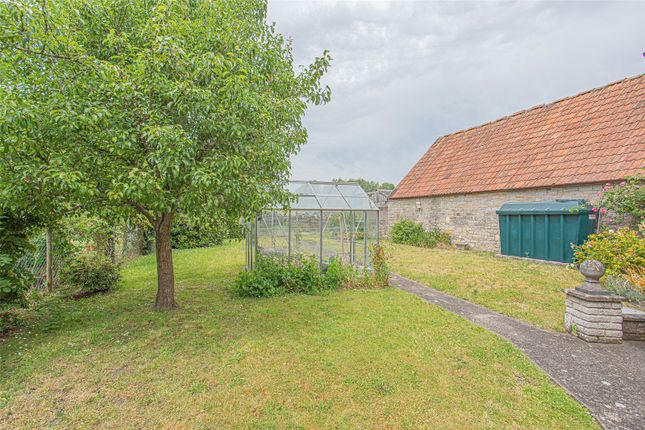Atlasta,, Low Ham, Somerset photo 4