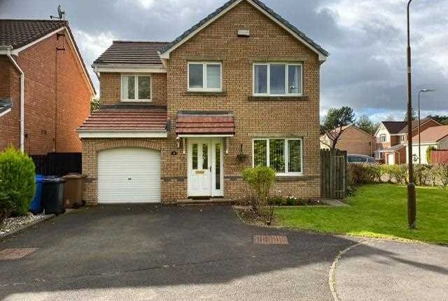 Thumbnail Detached house to rent in Curlew Brae, Livingston