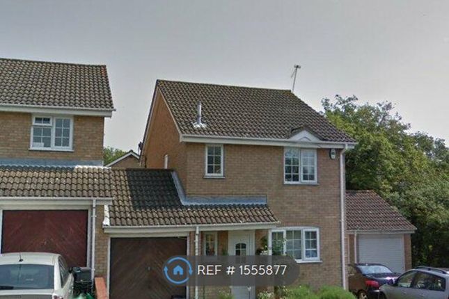 Thumbnail Detached house to rent in Fakenham Close, Reading