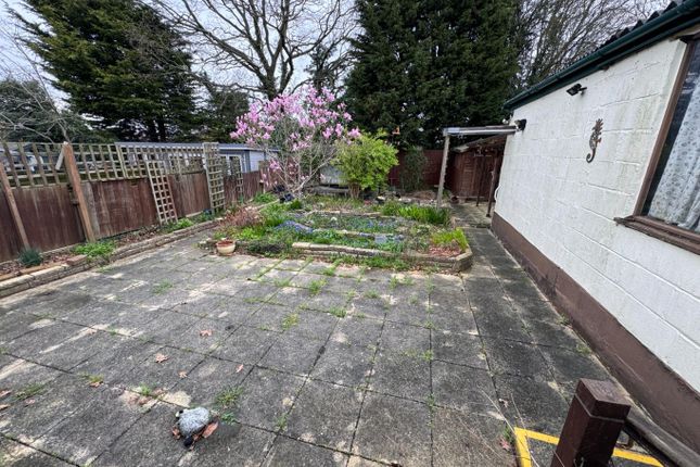 Thumbnail Semi-detached bungalow for sale in Hawkwell Road, Hockley, Essex