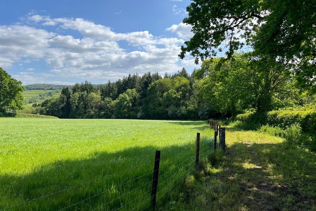 Woodland known as Allt Capel-Ifan, Llanddarog, Carmarthen photo 2