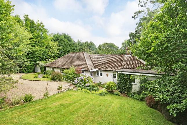 Homes To Let In Mayfield East Sussex Rent Property In Mayfield