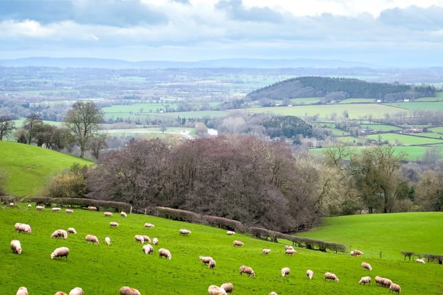 The Lacy, 26 Millstream Gardens,, The Lacy, 26 Millstream Gardens, Eardisley, photo 2