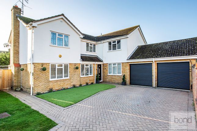 Thumbnail Detached house for sale in Barnaby Rudge, Newlands Spring, Chelmsford