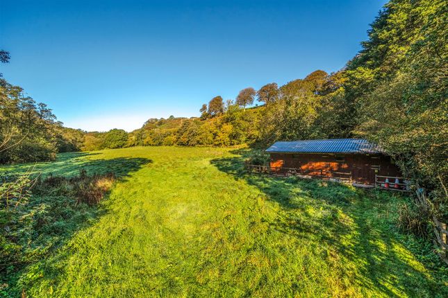 Tideford, Saltash photo 3