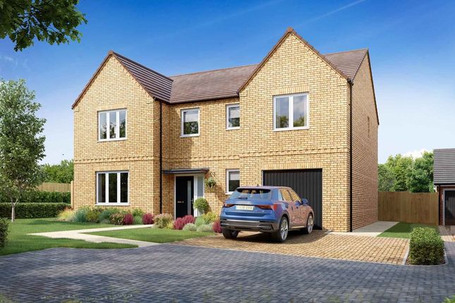 Thumbnail Detached house for sale in "The Patterham - Plot 28" at Dover Road, Walmer, Deal