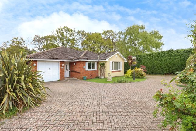 3-bed bungalow on 7, Woods Edge, Dorset, £525,000