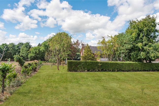 Detached house for sale in Bury Lane, Lidgate, Newmarket, Suffolk