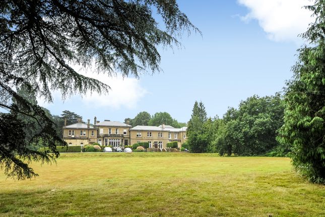 3 Fan Court, Longcross Road, Chertsey photo 3