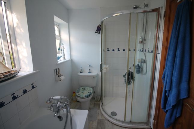 Colchester photo 4