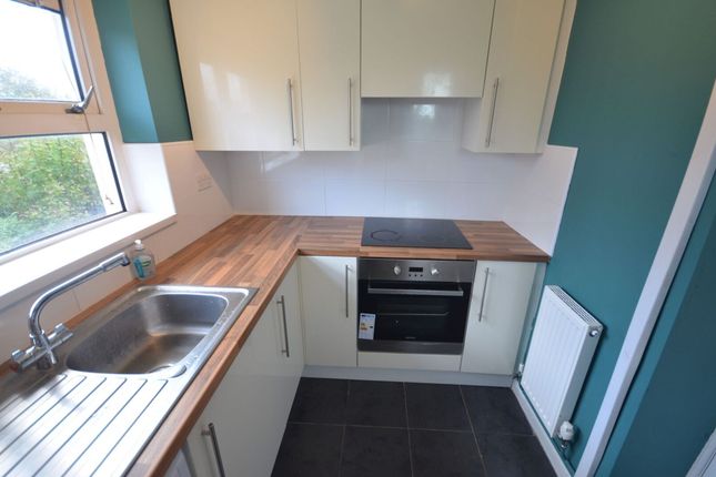 181 Brothers Street, Blackburn photo 5