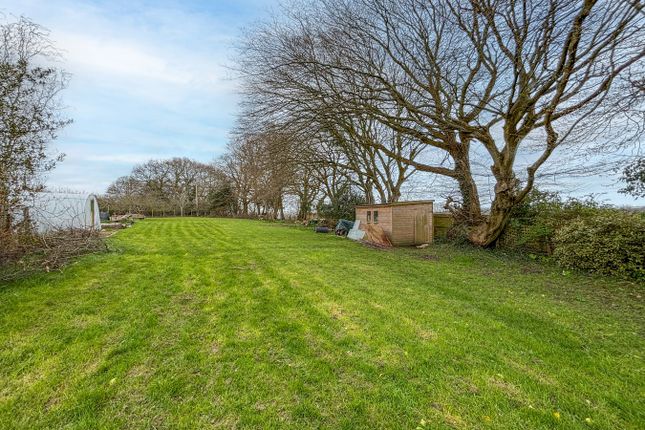 1 St Johns Cottages, Netherfield Hill, Battle photo 4