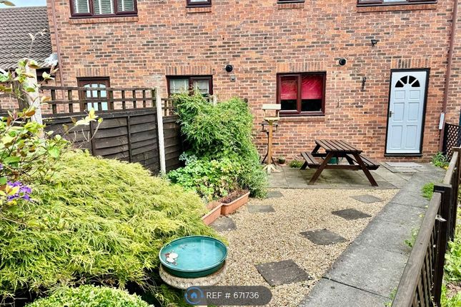 Back Garden - Patio With Picnic Table
