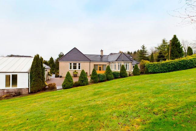 Detached house to rent in Cedar Lodge, Lanark