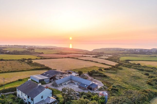Sea Meadow Barn Binchurn Farm,, Trefin, Pembrokeshire photo 4