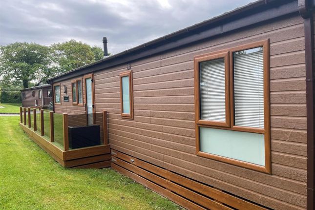 Willerby Portland, Whitford, Flintshire photo 3