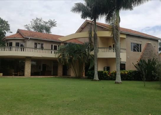 Property For Sale In Uganda Zoopla