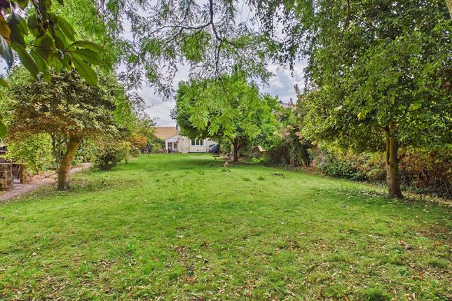 Vinley, Crediton photo 4