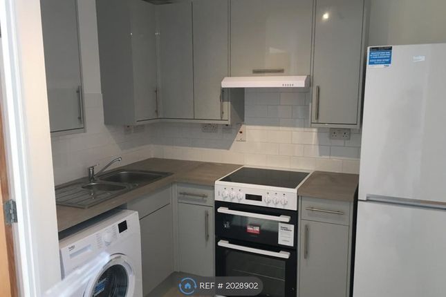 Thumbnail Terraced house to rent in Alexander Terrace, London