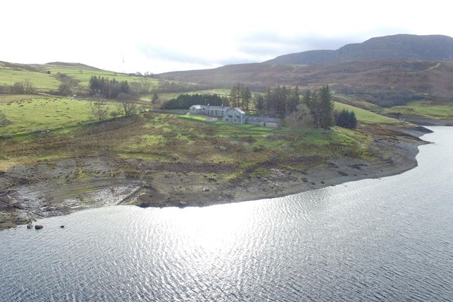 1Dji_0025.Jpg