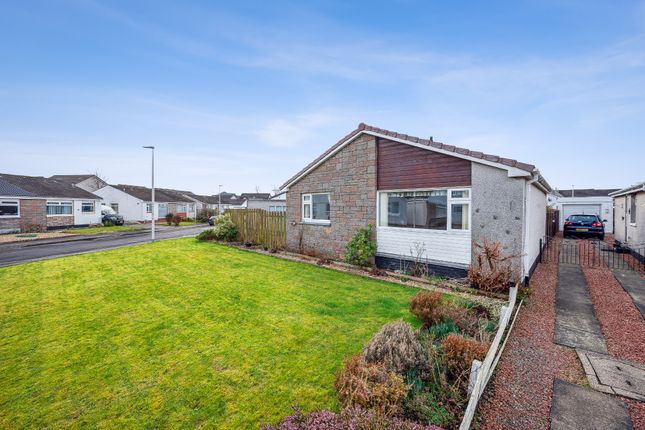 Thumbnail Detached bungalow for sale in Chisholm Avenue, Causewayhead, Stirling