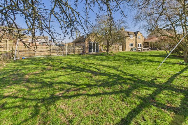 Rear Of The Property