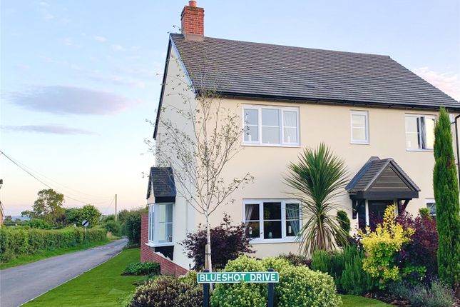 Thumbnail Detached house for sale in Blueshot Drive, Clifton-On-Teme, Worcester, Worcestershire