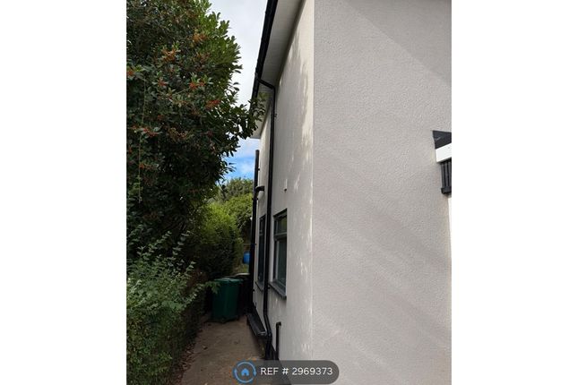 Serlby Rise, Nottingham photo 4