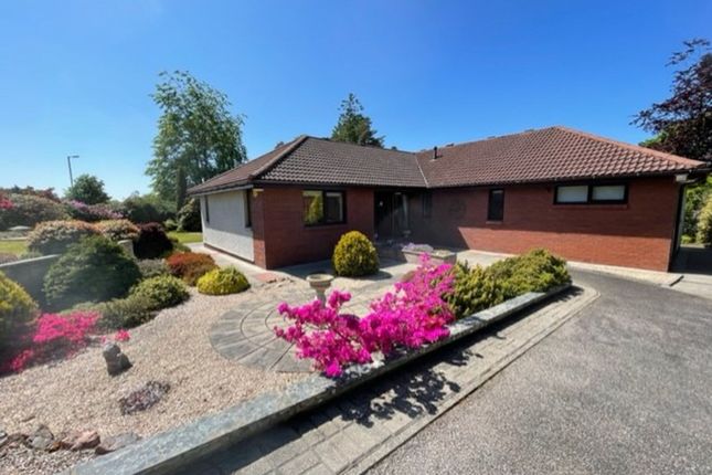 Detached bungalow for sale in Myrtlefield Lane, Westhill IV2