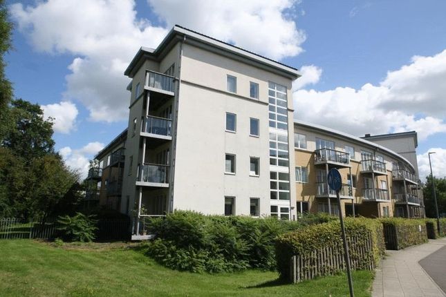 Thumbnail Flat to rent in Ryemead Way, High Wycombe