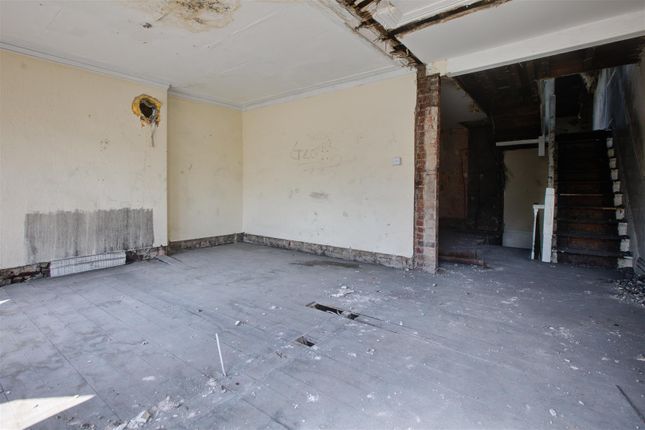 Blanco's Pet Shop, 64, Queen Street, Morecambe photo 3