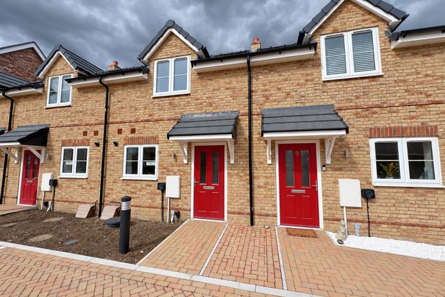 2-bed terraced on Scocles Farm, Minster-On-Sea, £1,650/mo