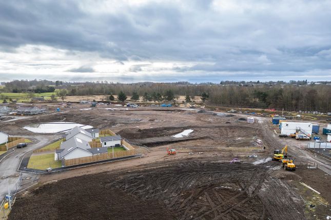 Plot 90 Pitcrocknie Village  Phase 4, Kirkmichael XL with Sunroon & Garage, Alyth photo 5