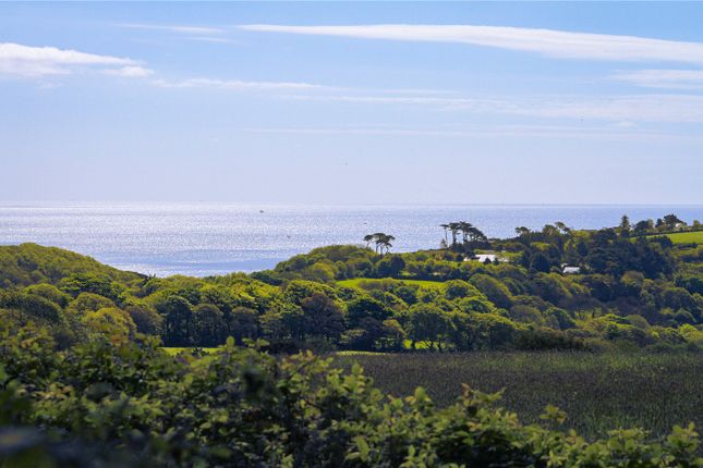 View From Driveway