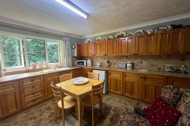 The Bungalow, White Cross, Draw Dyke, Sutton St James photo 5