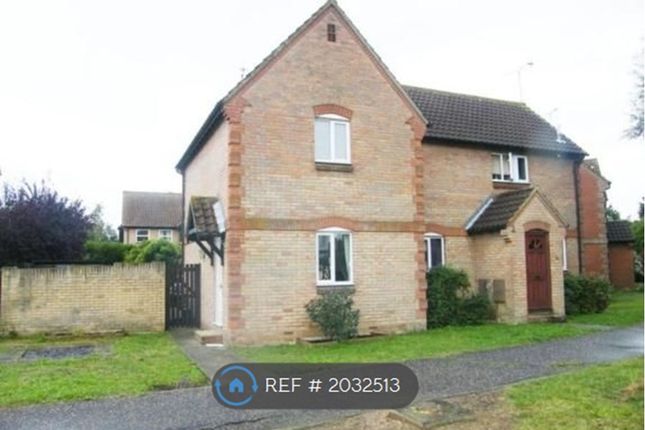 Thumbnail Semi-detached house to rent in Arwen Grove, South Woodham Ferrers