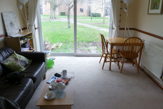 30, PIPPIN GREEN, NORWICH photo 2