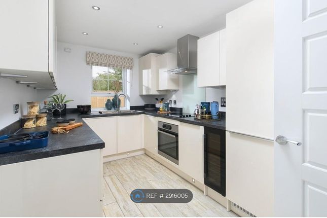 Prior Deram Park, Canley Gardens  Warwick Uni, Coventry photo 3
