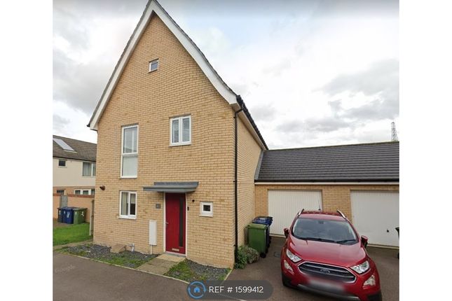 Thumbnail Detached house to rent in Spitfire Road, Upper Cambourne, Cambridge
