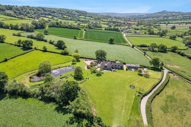 Bidwell Farm, Honiton photo 2