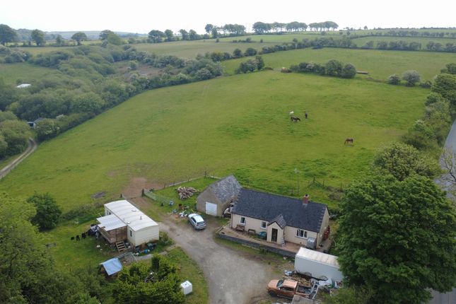 Gwelfryn, Talgarreg, Llandysul photo 2